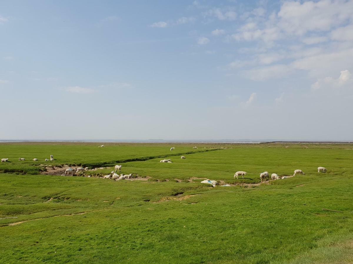 Kleines Haeuschen Am Deich, Vor Den Toren Von Sylt Vila Emmelsbüll-Horsbüll Exterior foto